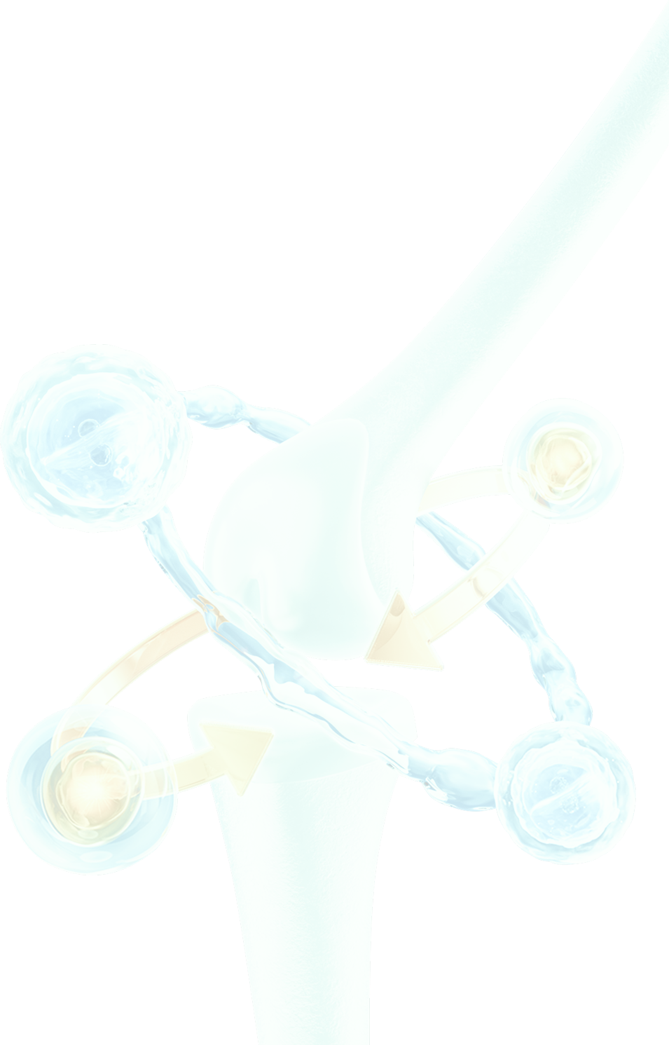 Ảnh 1