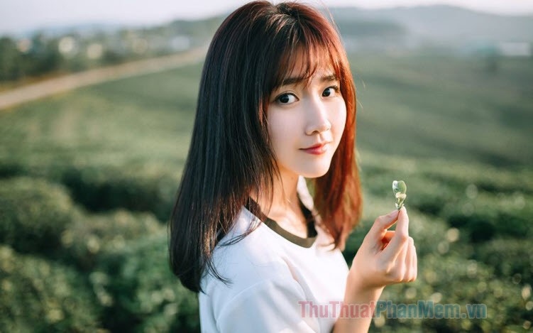 Thu Hà